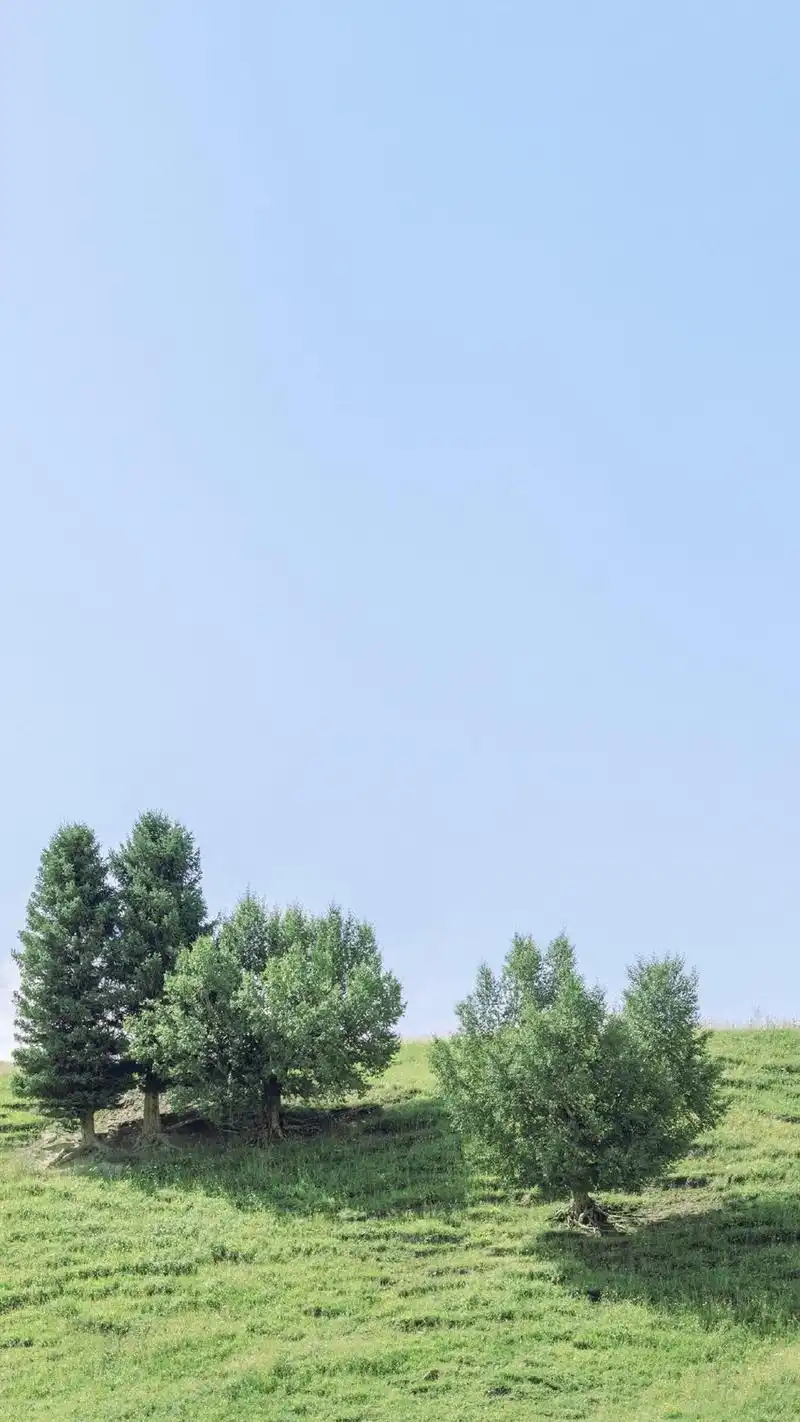 大自然清新风景图片手机壁纸