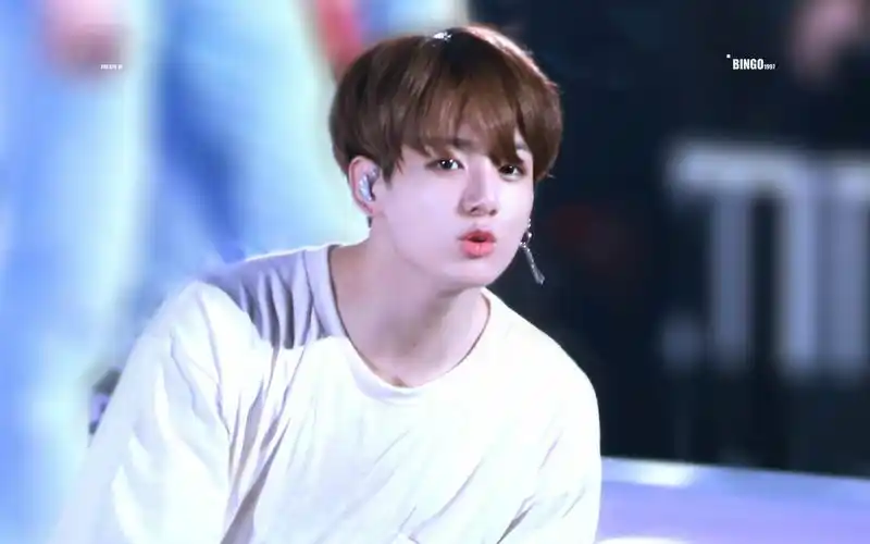 bts防弹少年团101114tokyo超清饭拍田柾国euphorialoveyourself演唱会