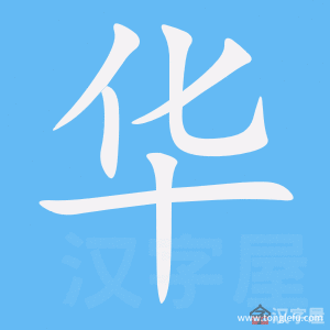 华的笔顺华字怎么写附笔顺动画