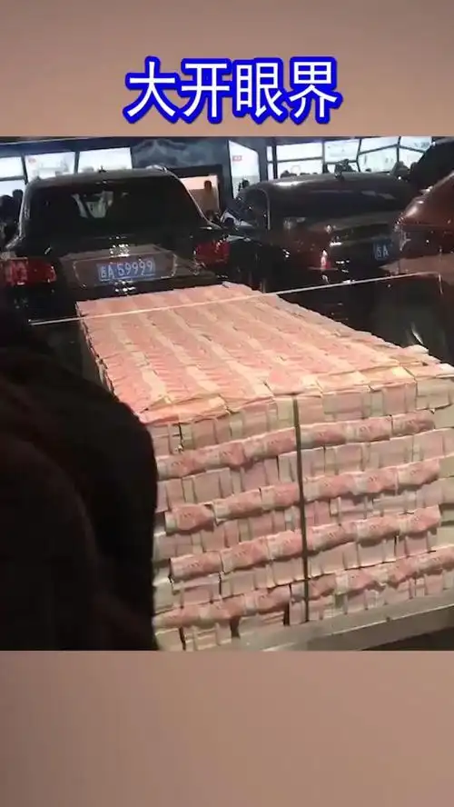 大开眼界,两亿九千万人民币现金,堆成一堆,怎么看都喜欢