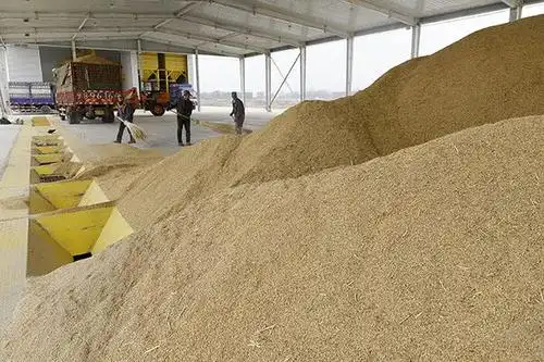 国家试点"粮食银行" 新模式新机会新挑战!