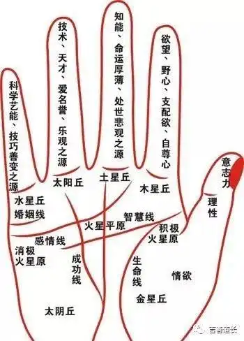 男断掌纹手相图解 第1页