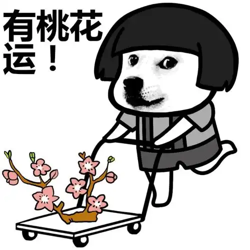 2020年桃花运最旺的生肖女