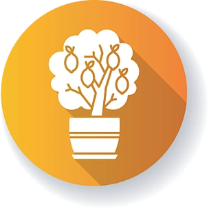 图标盆栽柑橘室内植物用黄色果子装饰果室内植物天然家居装饰剪影rgb