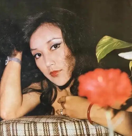 邵音音投资电影(邵音音的香江往事)(13)