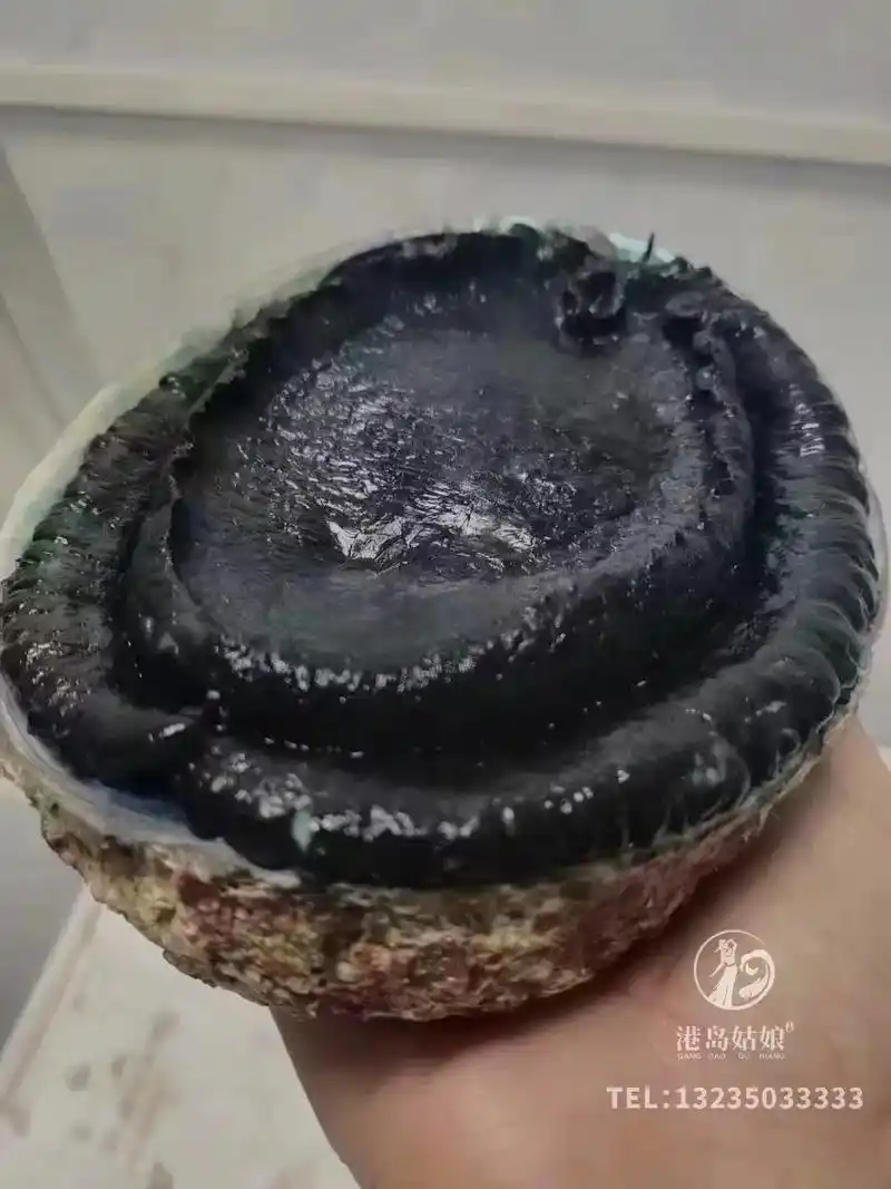 创作灵感 #美食分享 超级亮的黑金鲍,这样做搞原汁原味.# - 抖音