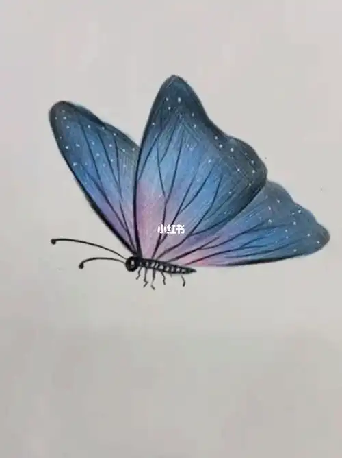既简单又漂亮的彩铅蝴蝶画法哦