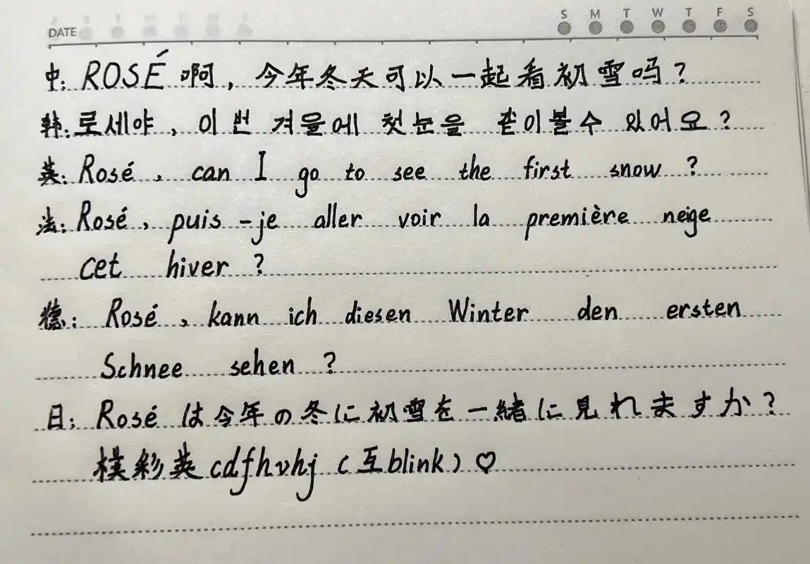 初中 #朴彩英rosé #手写 #rosé #rose朴彩 - 抖音