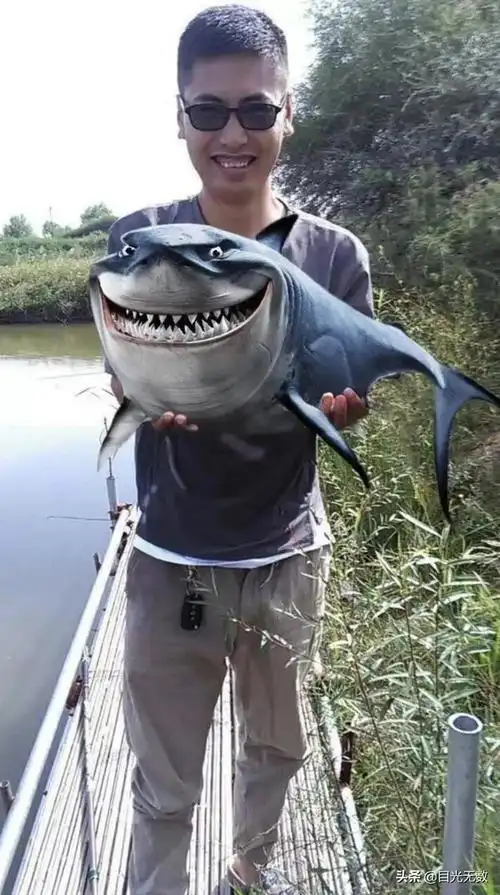 大神p图惨不忍睹第91期