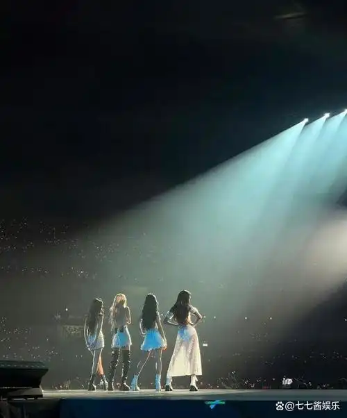 这张照片展现出了blackpink四位成员全神贯注的舞台