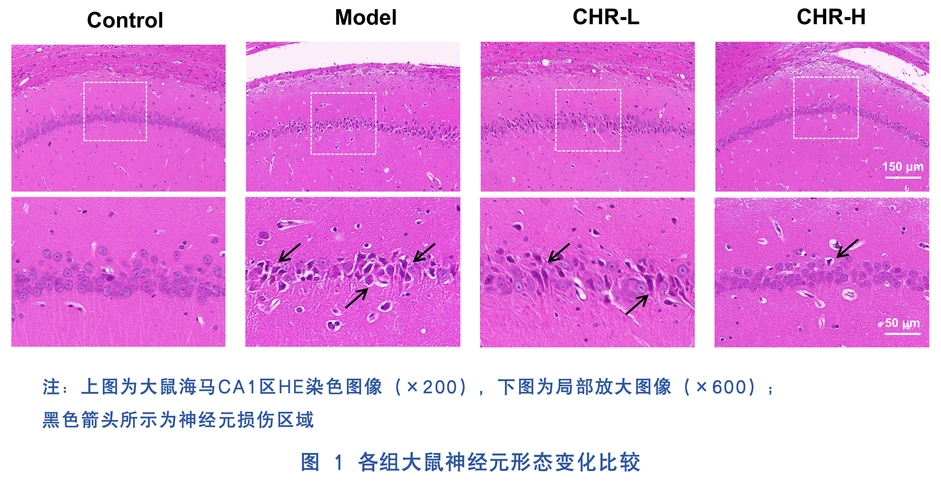 欢迎访问中国中西医结合杂志!