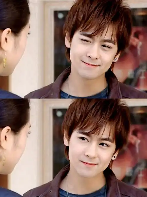 我觉得仲天琪就是为林志颖打造的,契合度太高,无.