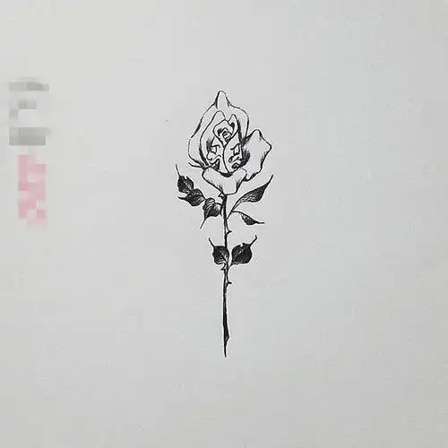 黑色线条素描简约唯美玫瑰纹身手稿