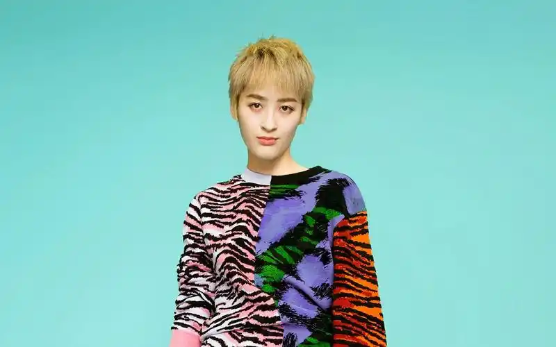 花样年华2曾轶可可爱的片段