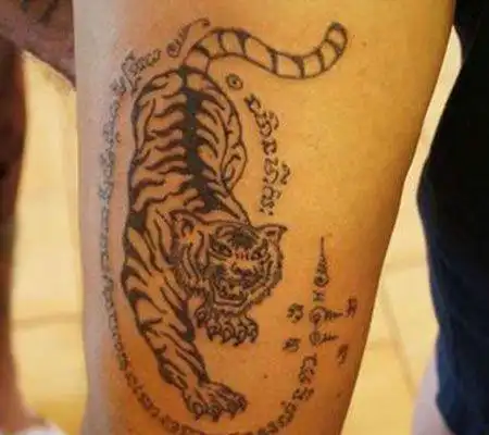 手臂泰国点刺老虎韩庚后背泰国刺符刺青纹身图案tag标签:泰国韩庚一组