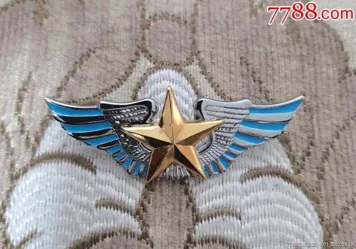 老款空文工团胸标