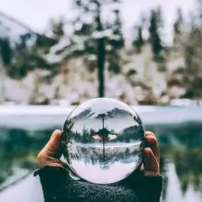 静物文艺小清新的头像最美的风信子