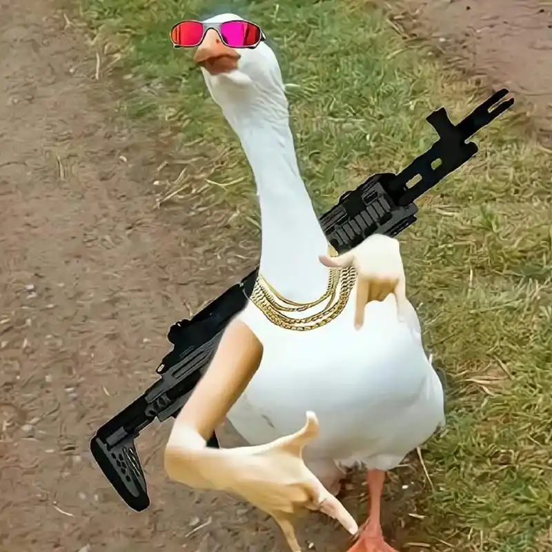 有趣的头像 | 有趣的灵魂