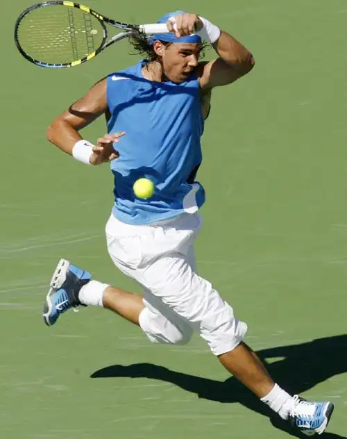 纳达尔简介(拉斐尔纳达尔简介)