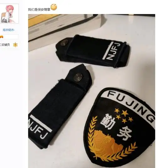 辅警衔的新样式