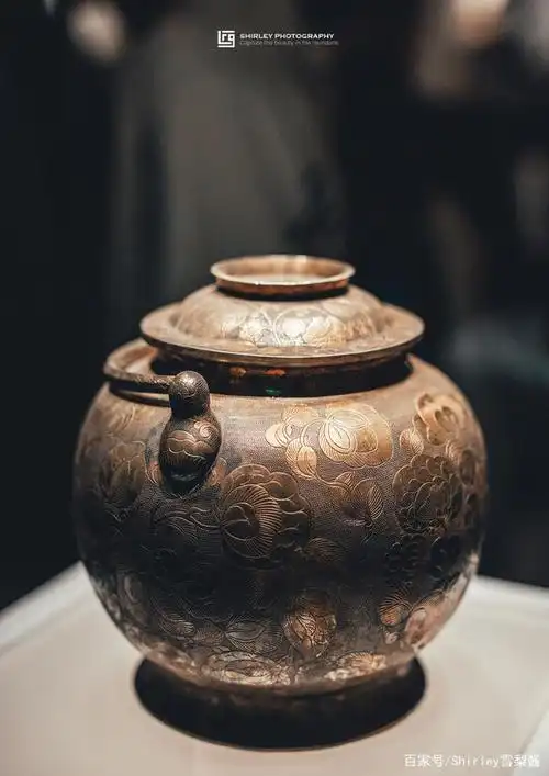 陕西历史博物馆,是文史控来西安必到的一站.