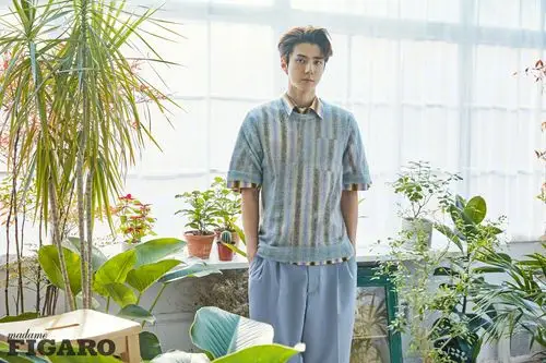 吴世勋 × madamefigaro 三月开季刊"偶… - 堆糖,美图壁纸兴趣