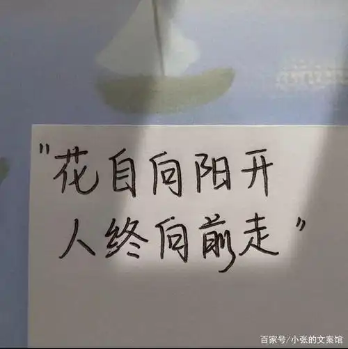 全网都在找的优质干净的励志文案.