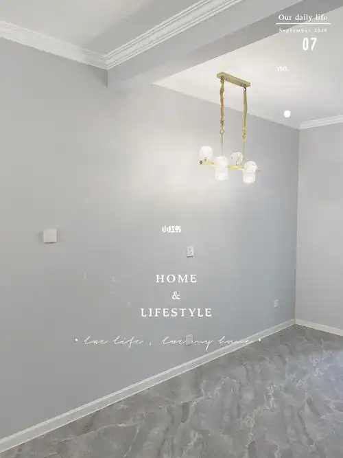 被问爆的客厅乳胶漆97多乐士62000网红灰