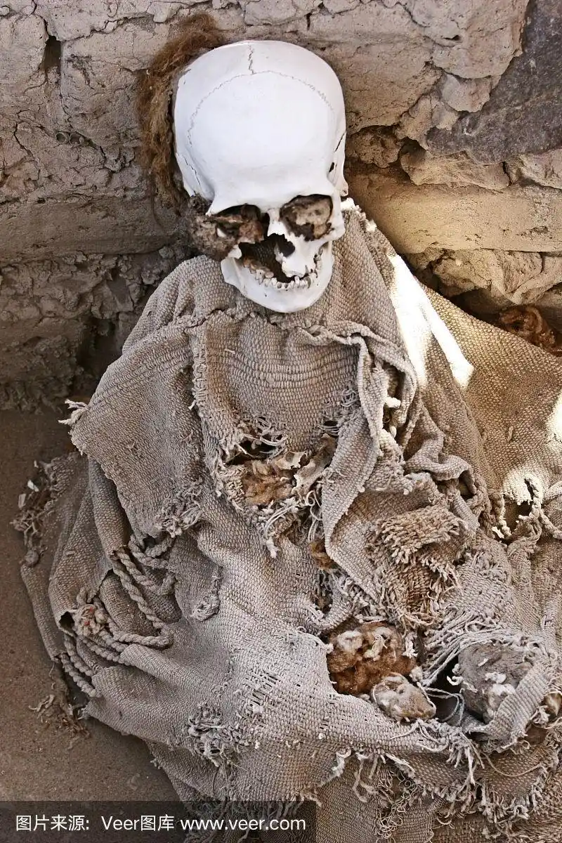 织物包裹的古代木乃伊