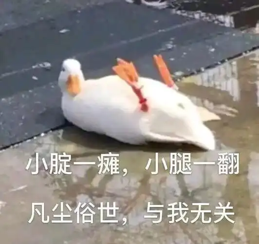 玩电脑表情包 - 表情图