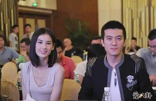 陶虹前夫是杨子吗