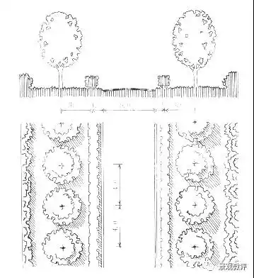 设计为四排二形树木组成(乔木前配有整形的绿篱),需要树冠宽大的乔木