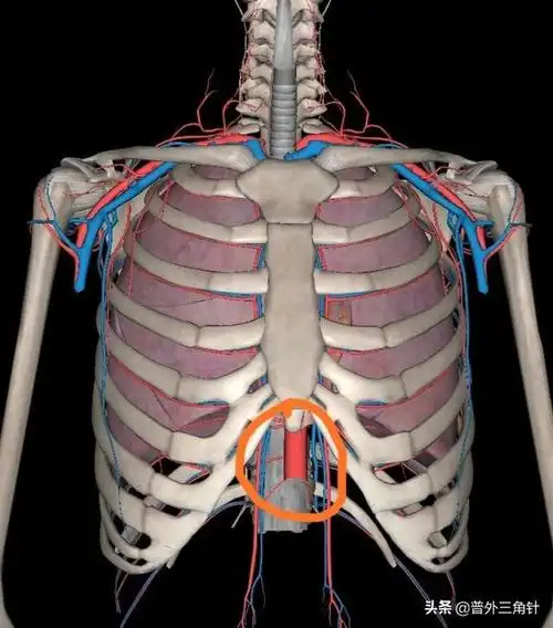 心窝正中痛是怎么回事