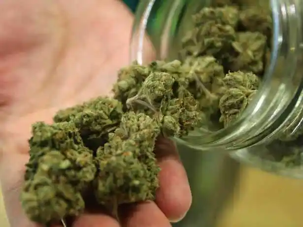 uconns drama department reports that puppetry applicants are