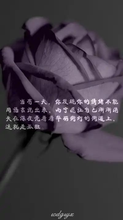 插画- 堆糖,美图壁纸兴趣社区