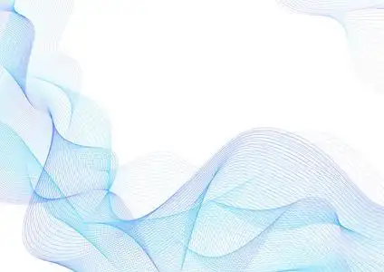 空白背景,用于商业布局背景设计项目证书文凭正式文件正式文件照片