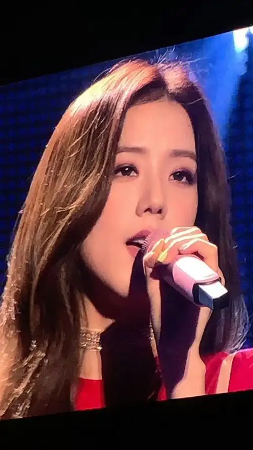 kimjisoo超话94#金智秀的那年今日#190615 悉尼演唱会 饭拍高清 10