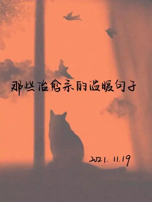 手写day42那些治愈系的温暖句子