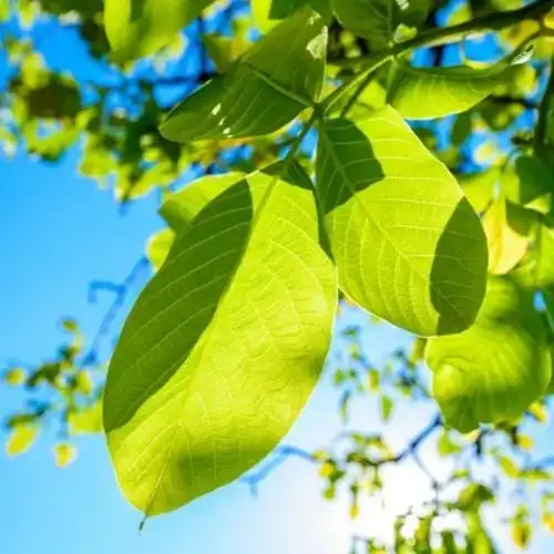 励志头像图片大全2023 高清好看2023年充满正能量的图片微信头像_励志