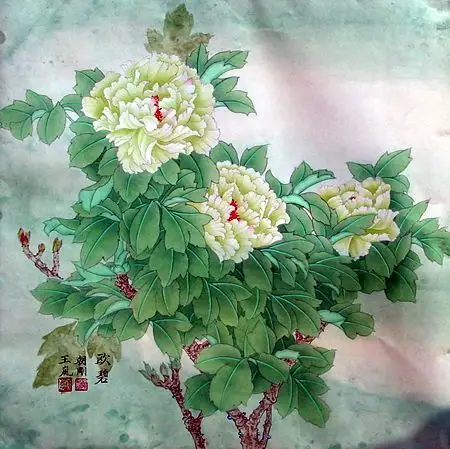 工笔牡丹花3【36p】