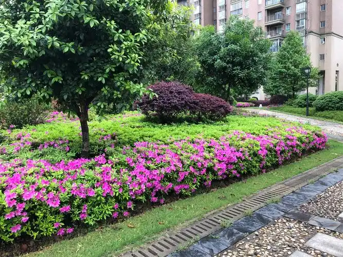 桃阳苑,植物园般的绿化小区.