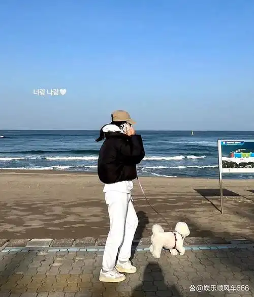 宋慧乔海边遛狗,海边安静祥和 她真的好爱大海!