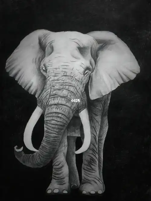 素描动物一头大象