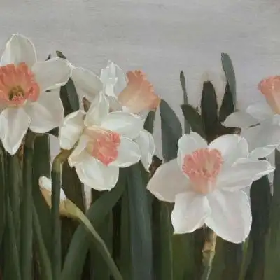 老年人微信头像风景花朵 适合中老年人的头像图片