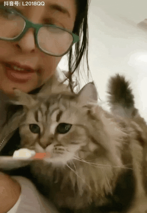除了自己养,她还多次在微薄,抖音等平台呼吁关爱流浪动物.