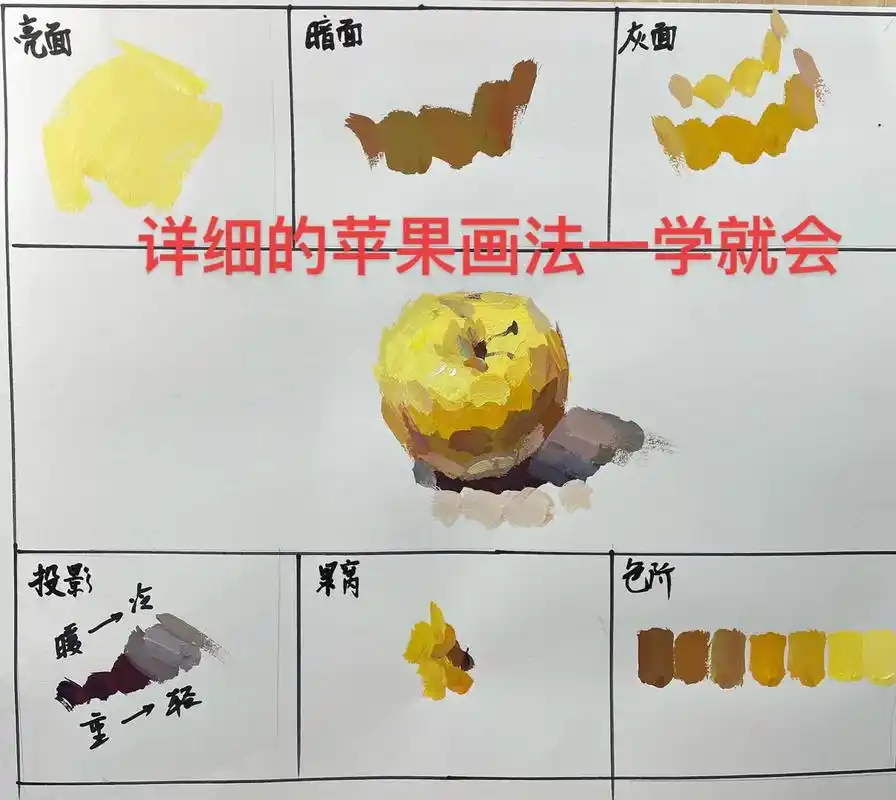 抖音图文来了 详细的苹果画法你一学就会#色彩 #水粉静物  - 抖音