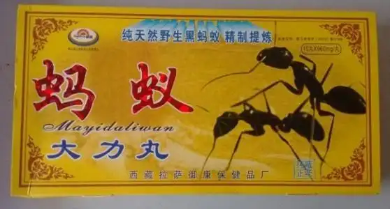 蚂蚁大力丸效果真的假的(记者深入调查真相)厂家直销_保健品_品牌资讯