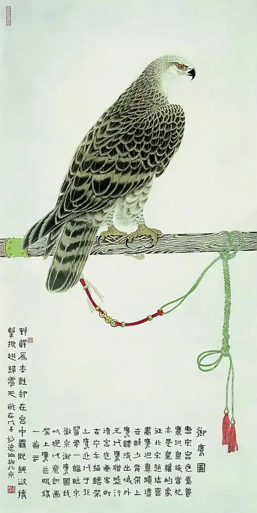 工笔画 - 鹰 - ww561103 - ww561103的博客