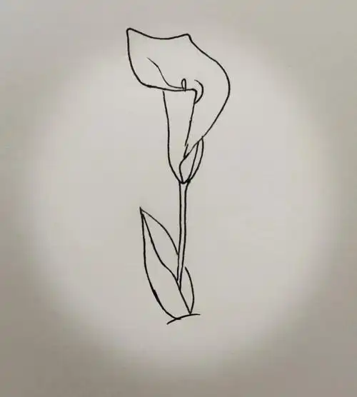 no.10分步骤牵牛花#牵牛花简笔画  #简笔画打卡  #简笔画临摹