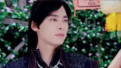 风晴雪百里屠苏